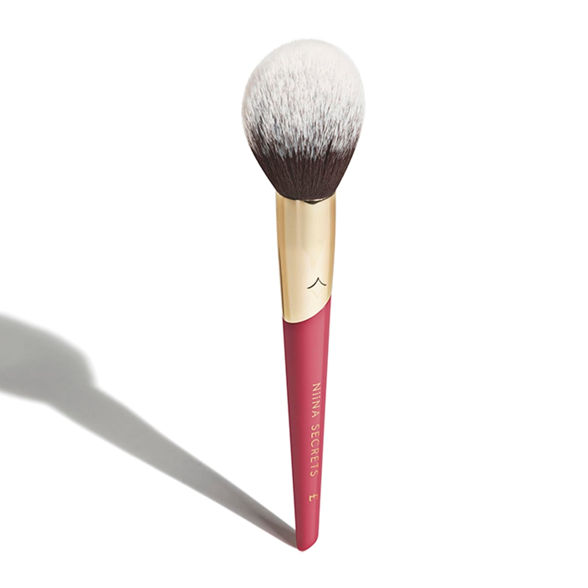 NIINA SECRETS PINCEL BLUSH thumbnail 2