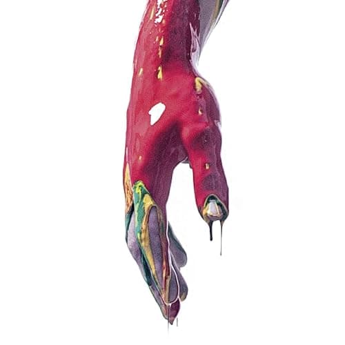 Raptus - Image 1