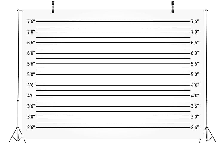 Police photo backdrop  thumbnail 3