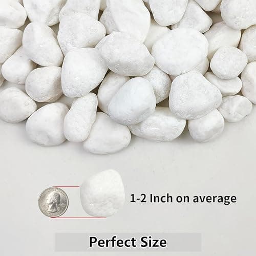 YISZM 5lb White Pebbles for Indoor Plants, 1-2 Inch Natural River Rocks, Snow White Decorative Stones, Ideal for Fish Tank, Vases, Crafting, Home Decor and Garden Landscaping Rocks thumbnail 2