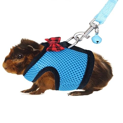 Rypet Ferret Harness and Leash - Soft Mesh Small Pet Harness with Safe Bell, No Pull Comfort Padded Vest for Guinea Pig, Hamster, Rats and Similar Small Animals - Image 1