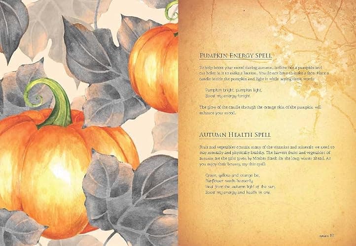 A Spellbook for the Seasons: Welcome Natural Change with Magical Blessings thumbnail 6