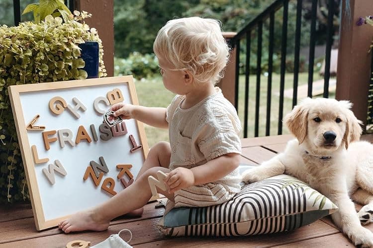 Neutral Silicone Alphabet Magnetic Letters, 26 Piece Non Toxic Learning Set, Perfect for Refrigerator, Whiteboard and Educational Activities thumbnail 2