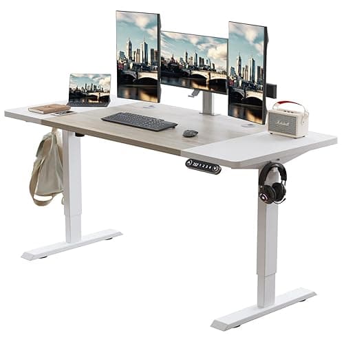 Radlove Electric Standing Desk