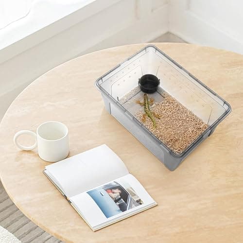 POPETPOP Reptile Terrarium Box 10.24×7.09×4.53In Plastic – Ventilated & Secure for Escape Prevention, Easy Feeding Access Without Disturbance – for Small Reptiles, Insects, Hatchlings, Geckos, Tortois thumbnail 3