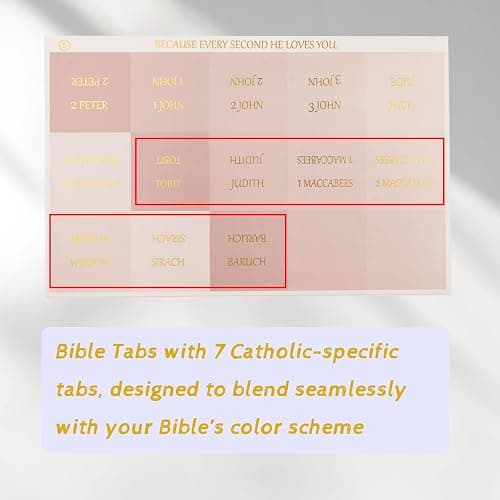 Lumintutu Laminated Bible Tabs, Gold Foil Large Print Lettering, 90 Tabs Bible Study Journaling Supplies, Christian Gift for Women and Men, She Reads Truth Bible (Pink) thumbnail 5