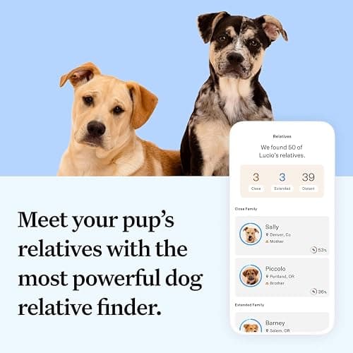 Wisdom Health Essential Dog DNA Kit | Most Accurate Test | 365+ Breeds | 30 Genetic Health Conditions | 50+ Traits, Relatives, Ancestry | Pack of 1 thumbnail 5