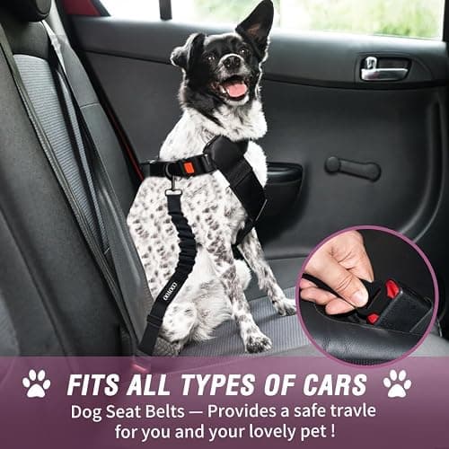 COOYOO Dog Seat Belt,Retractable Dog Car Harness Seat Belt for Car Adjustable Nylon Pet Safety Seat Belts Heavy Duty & Elastic Bungee Buffer thumbnail 2
