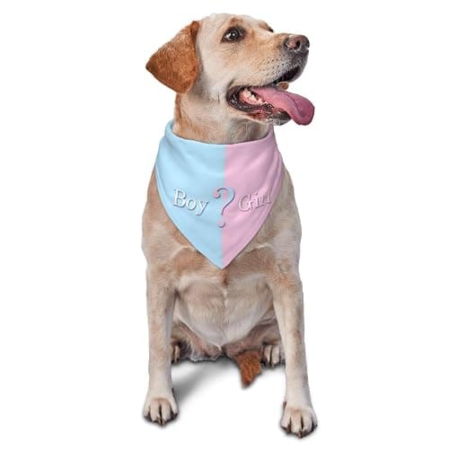vercosee He Or She What Will It Be? Gender Reveal/Baby Announcement Dog Bandana,Pet Neckerchief for Pets Daily Wear Photo Prop Party Supplies (Blue) - Image 1