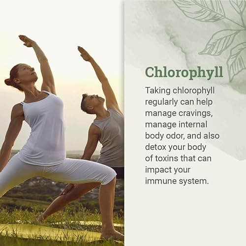 Liquid Chlorophyll, Liquid Drops for Immune System Support, Natural Internal Deodorant - Vegan Chlorophyll Drops with Organic Glycerin - Clorofila Liquida, Chlorophyllin Detox Cleanse (1 mL) thumbnail 3
