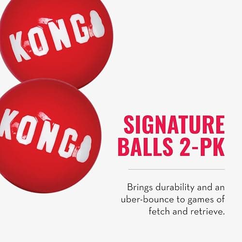 KONG Floppy Knots & Signature Balls (2 Pack) - Knotted Dog Toy Entices Play & Satisfies Instincts - Dog Supplies with Minimal Stuffing - Strong Dog Toy Balls for Fetch - Elephant, for Large Dogs thumbnail 3