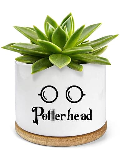 PWHINGN Funny Ceramic Succulent Planter Pots with Drainage Bamboo Tray, Office Windowsill Decor Indoor, Funny Plants Pots Desk Accessories for Plant Lovers Mom Friends Teacher (Not Plants) - Image 1