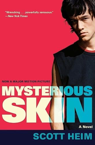 Mysterious Skin - Image 1