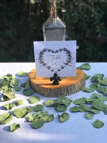 300+ Pcs Dried Real Eucalyptus Leaves, Rustic Boho Wedding Table Decor, 100% Natural Preserved Silver Dollar Eucalyptus Decor Green Leaves, Biodegradable Confetti for Weeding, DIY, Baby Shower, Cake1 thumbnail 7
