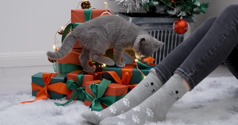 Jeasona Women's Cat Socks Cat Gifts Cute Animal Socks Dog Owl Gifts for Women thumbnail 3