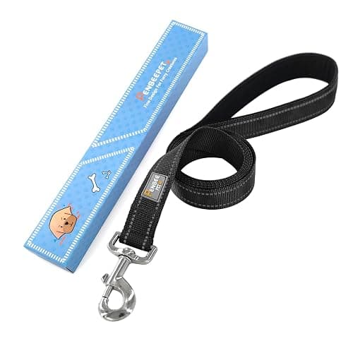 PenSeepet 6 FT Basic Dog Leash for Medium Dogs,Black | Padded Handle,Metal D-Ring,Heavy Duty Nylon Webbing, for Walking & Training thumbnail 6