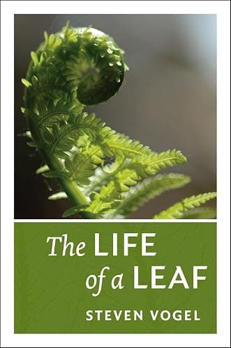 The Life of a Leaf - Image 1