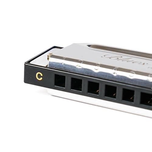 REGIUX Blues Harp Diatonic Harmonica, 10-Hole Key of C, Beginner Harmonica for Students & Adults, with Protective Case thumbnail 3