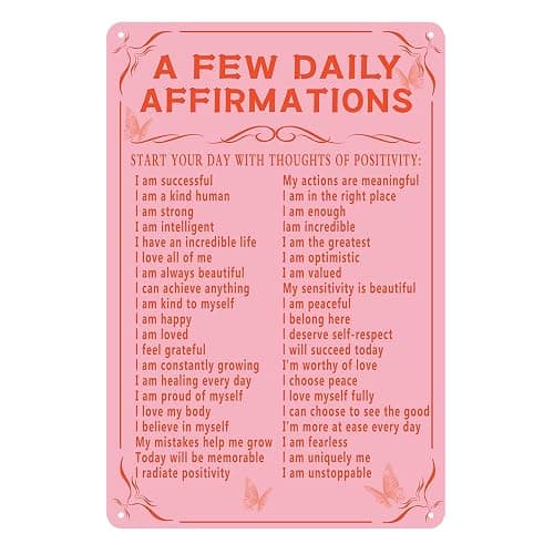 Pink Room Decor Aesthetic A Few Daily Affirmations Metal Sign Motivational Wall Decor Cute Girly Home Office House Coquette Decor Pink Butterfly Wall Art Metal Tin Signs Gifts 8x12 Inch - Image 1