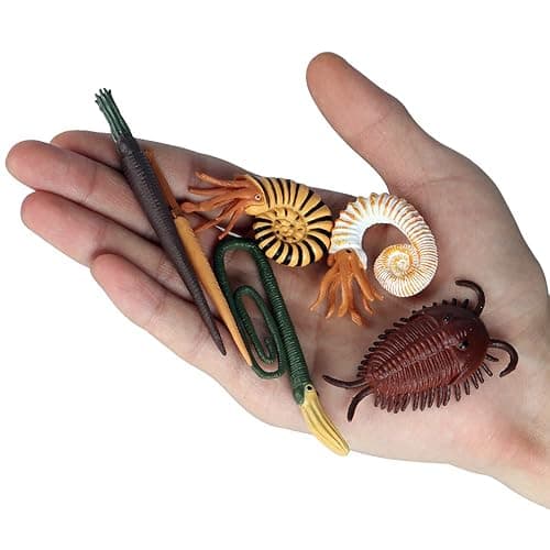 EOIVSH Prehistoric Cambrian Sea Animal Toys, 12PCS Ancient Marine Animal Figures, Miniature Toys Cake Topper Ocean Animal Figurines for Kids Toddlers thumbnail 4