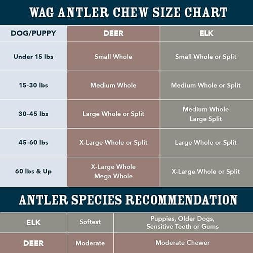 Amazon Brand - Wag Dog Deer Antler Chew, Naturally Shed, Whole, Large 8-9.5 inches, Long Lasting for Aggressive Chewers, Best for Dogs 30-45 lbs, 3.20 Ounce (Pack of 1) thumbnail 5