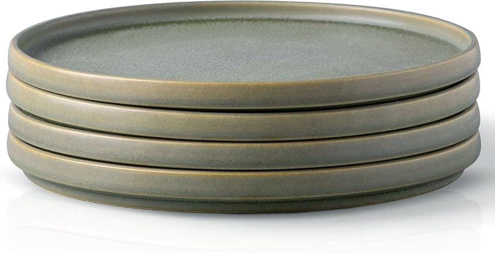 AmorArc Stoneware Dinner Plates Set of 4, 10.5 Inch Reactive Matte Glaze Ceramic Plates Set, Modern Dinnerware Dish set for Kitchen, Microwave, Dishwasher Safe - Image 1