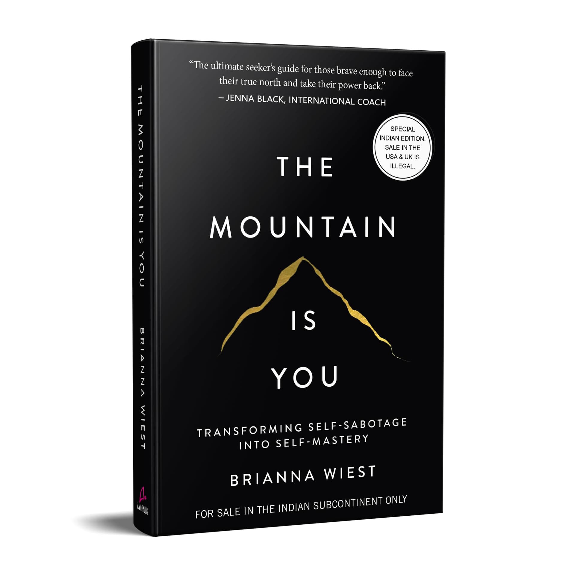 The Mountain Is You: Transforming Self-Sabotage Into Self-Mastery thumbnail 3