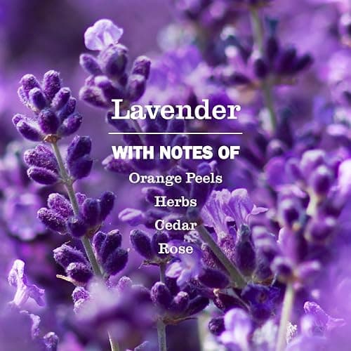 Mrs. Meyer's Clean Day, Hand Soap Refill, Lavender Scent, 33 Fl Oz thumbnail 3