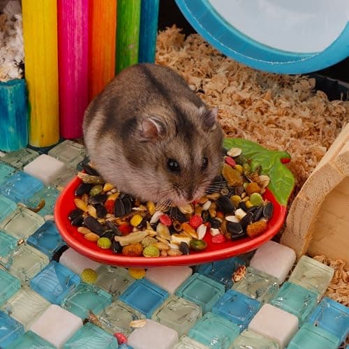 2 Pcs Hamster Ceramic Food Bowl, Cute Shape Anti-Turning Dish for Hamster Gerbil Hedgehog Guinea Pig Rat Rodent thumbnail 4