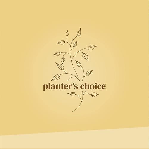 Bonsai Starter Kit thumbnail 9
