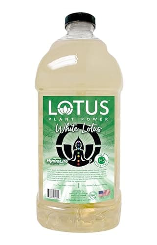 White Lotus Plant Energy Drink Concentrate | Pure Cane Sugar | 64 fl oz | 1:5 | Natural Caffeine from Green Coffee Bean - Image 1