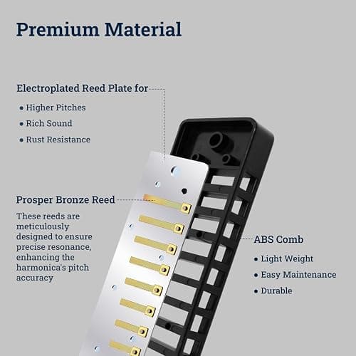 Harmo Polar Diatonic Harmonica Key of A - 10 Holes 20 Notes, Blues Harp Mouth Organ With Case, Phosphor Bronze Reeds, Suitable for All Genres, Harmonica for, Adult, Beginners & Professionals thumbnail 3