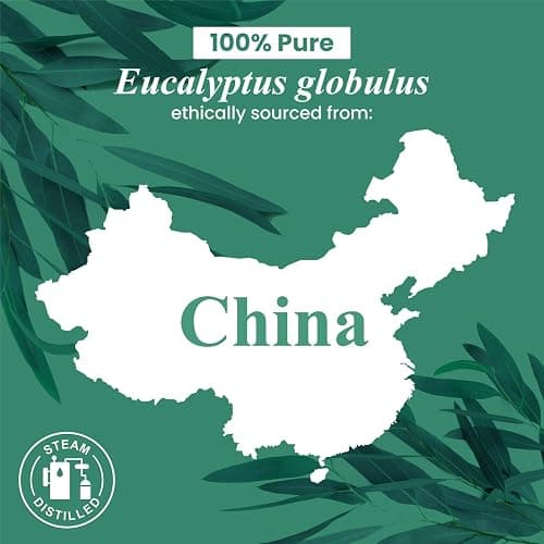Handcraft Blends Eucalyptus Essential Oil - Huge 4 Fl Oz - 100% Pure and Natural - Premium Grade Essential Oil for Diffuser and Aromatherapy, and DIY Soap Making - Eucalyptus - 4 Fl Oz (Pack of 1) thumbnail 7