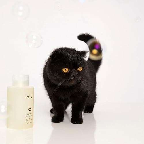 shampoo thumbnail 8