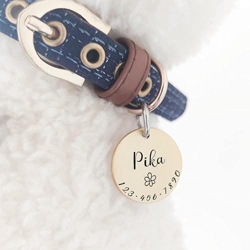 Cats Dogs ID Tags Personalized Lovely Symbols Pets Collar Name Accessories Simple Custom Engraved Products for Extra Small Four Legged Child Necklace Chain Anti-Lost Industrial Steel Charm thumbnail 2