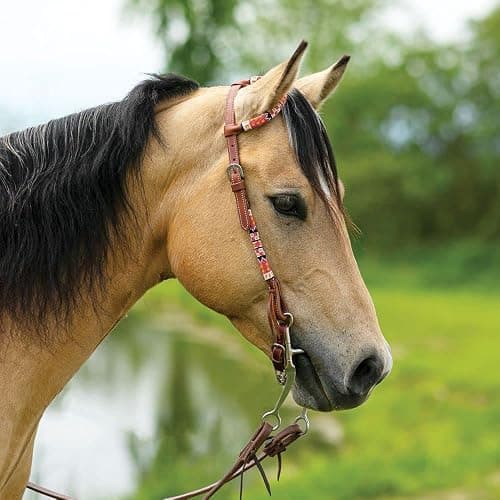 Schneiders Double S Beaded One Ear Headstall | Exquisite Horse Tack | Stylish Beaded Design | Premium 5/8" Harness Leather | Adjustable Rolled Ear Design thumbnail 3