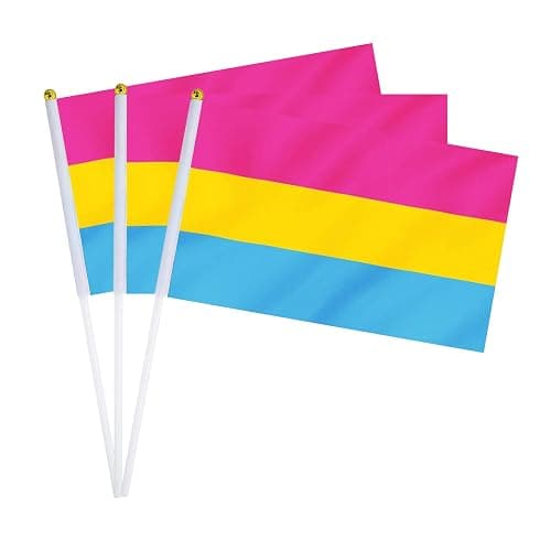 Pansexual Flag Pan Flag, Small Mini Hand Held Pansexual Pride Flags on Sticks for Parades Parties Festivals Decorations - Image 1