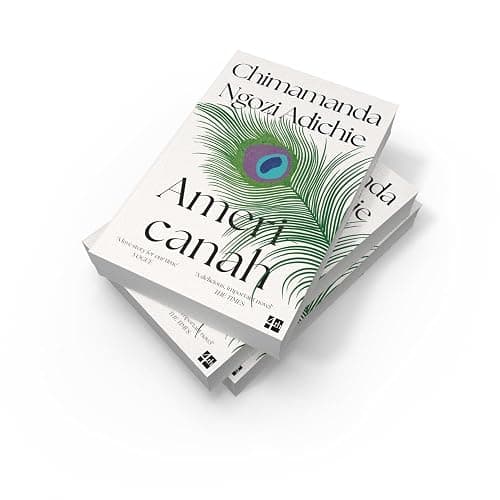 Americanah: The stunning and literary, cross-continental novel from global bestselling author Chimamanda Ngozi Adichie thumbnail 5