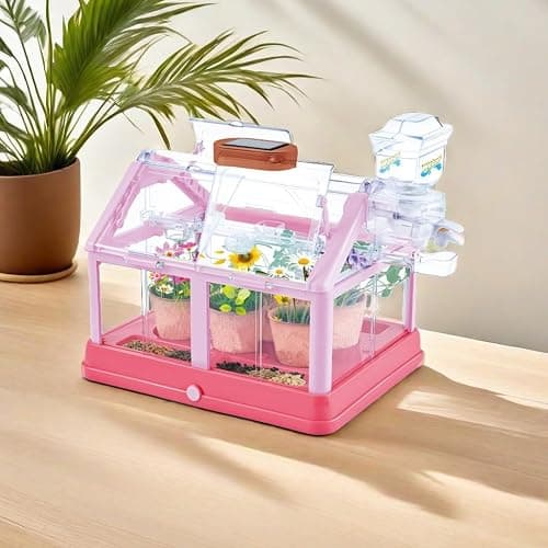 EXBEPE Kids Plant Growing Kit Greenhouse Growing Set Terrarium Kit Kids Science Educational DIY Plant Gardening Toy, Living Greenhouse with Solar Panel, Indoor Gardening Kit thumbnail 6