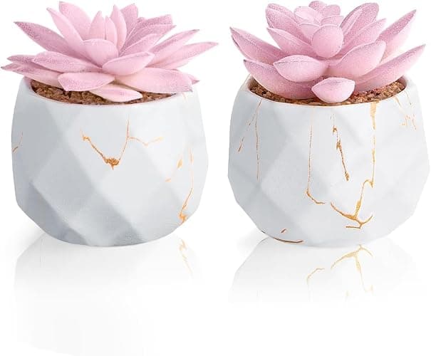 ZENIDA Artificial Succulent Plants in 2 White Ceramic Pots, Cute Fake Plants for Vanity Decor,Office, Desk, Bathroom, Kitchen,Bedroom, Shelves Decor for Women,Girls Gift - Image 1