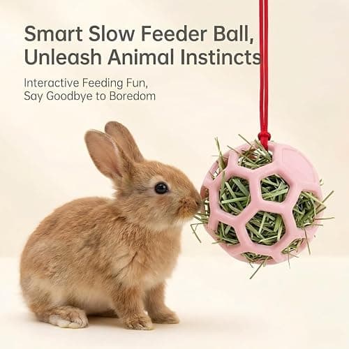 DAFORERAL Farm Stall Hanging Feeder Toy Ball for Horses, Goats, Sheep – Durable TPR Feeding Ball, Hay Feeder for Animal Enrichment, Stretch-Resistant Design (Pink) thumbnail 5