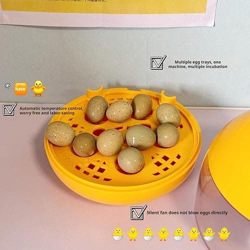 tkerinse Egg Incubator, Rutin Chicken Egg Incubator for Hatching Eggs, Small Clear Egg Hatching Incubator, Automatic Smart Control Hatcher Machine for Variety Size of Eggs thumbnail 4