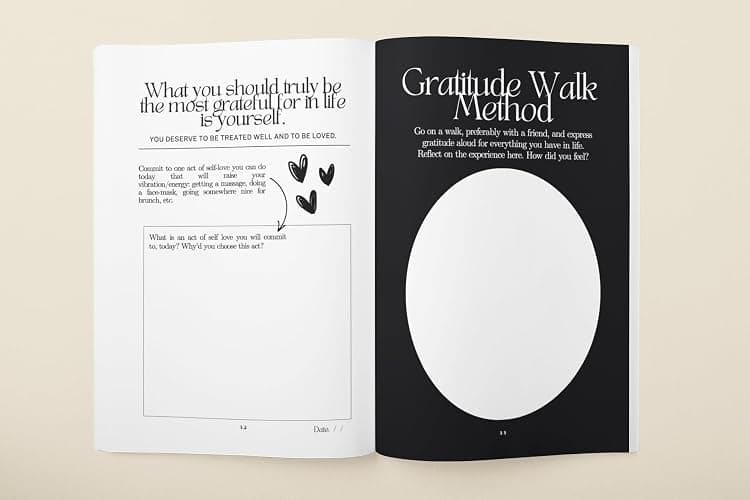 The Miracle Journal: Your Guided Manifestation & Gratitude Journal thumbnail 4