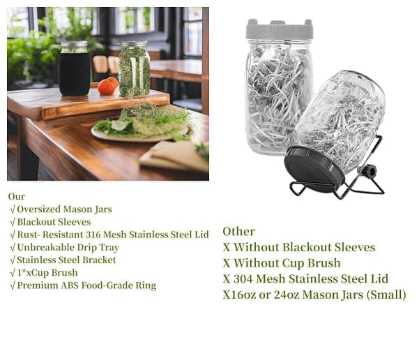 Lulonpon Sprouting Kit, 2 Sprouting Jar Kits, Wide Mouth Quart Mason Jars with Stainless Steel Screen Sprout Lids,1000ml, Stand and Canning Brush,Seed Sprouter Set for Growing Broccoli, Alfalfa thumbnail 5