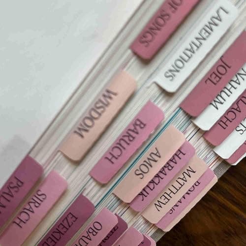 Catholic Bible Tabs, Reposition Laminated Stickers, Easy to Read and Apply Bible Tabs for Women and Man (Catholic Pink) thumbnail 5