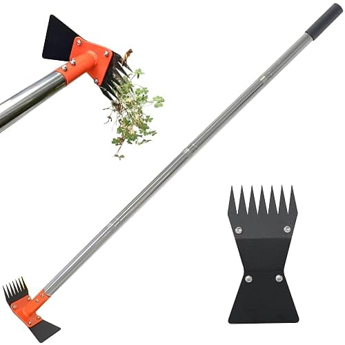 CKLT 2-in-1 Garden Hoe and Weed Puller Rake 60 Inch Spring Steel Head | Adjustable Long Handle Weeding Tool Heavy Duty Sand Texture Finish, Weed Remover for Garden, Yard, Lawn, Driveway - Image 1