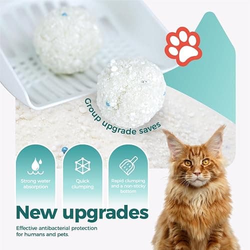 MOONFOREST Tapioca Cat Litter, Cassava Cat Litter Odor Control Dust-Free Clumping Litter thumbnail 6
