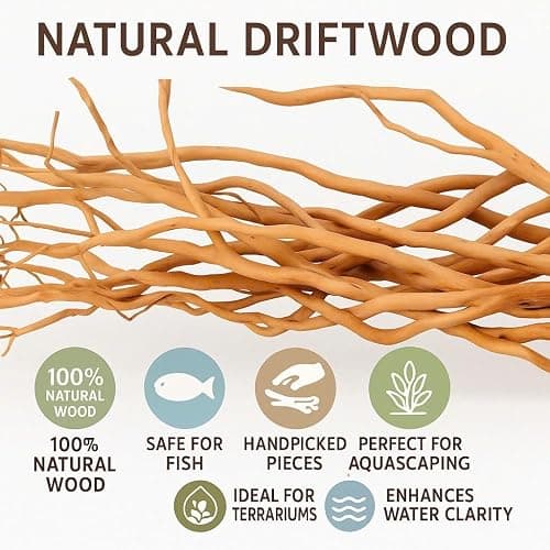Azil Natural Aquarium Driftwood Root – Driftwood for Aquarium Decor, 170g~0.38lb (14″–16″), Fish Tanks, Terrariums, Aquascaping & Planted Tanks thumbnail 6