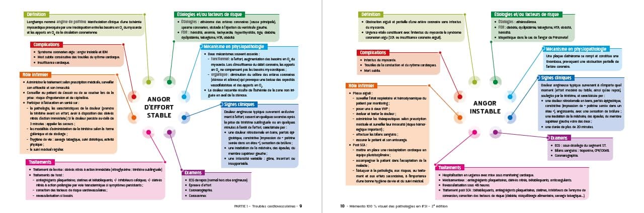 Mémento 100% visuel des pathologies IFSI: 160 cartes mentales colorées pour mémoriser facilement les pathologies au programme des études infirmières thumbnail 4