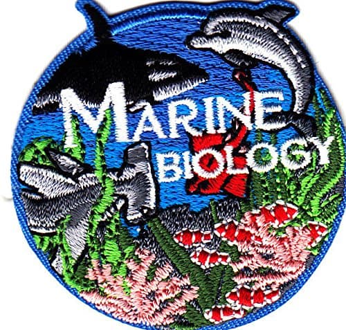 Bubbacare Marine Biology - Shark - Dolphin - Ocean - Beach -SEA Creature - Iron ON PATCHF - Image 1